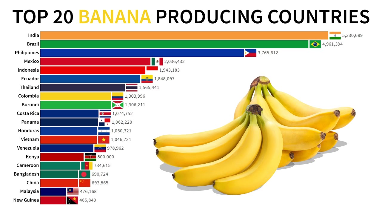 Which Country Is The Largest Producer Of Banana In The World ...